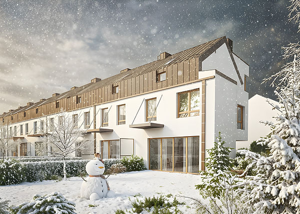 wizualizacja architektoniczna budynku jednorodzinnego